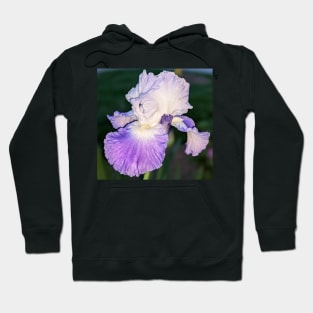 Lavender Iris in Light Hoodie